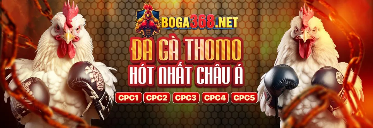 Đá Gà Trực Tuyến Hàng Đầu tại W88You Win