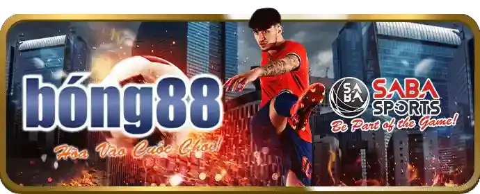 Cá cược thể thao W88You Win